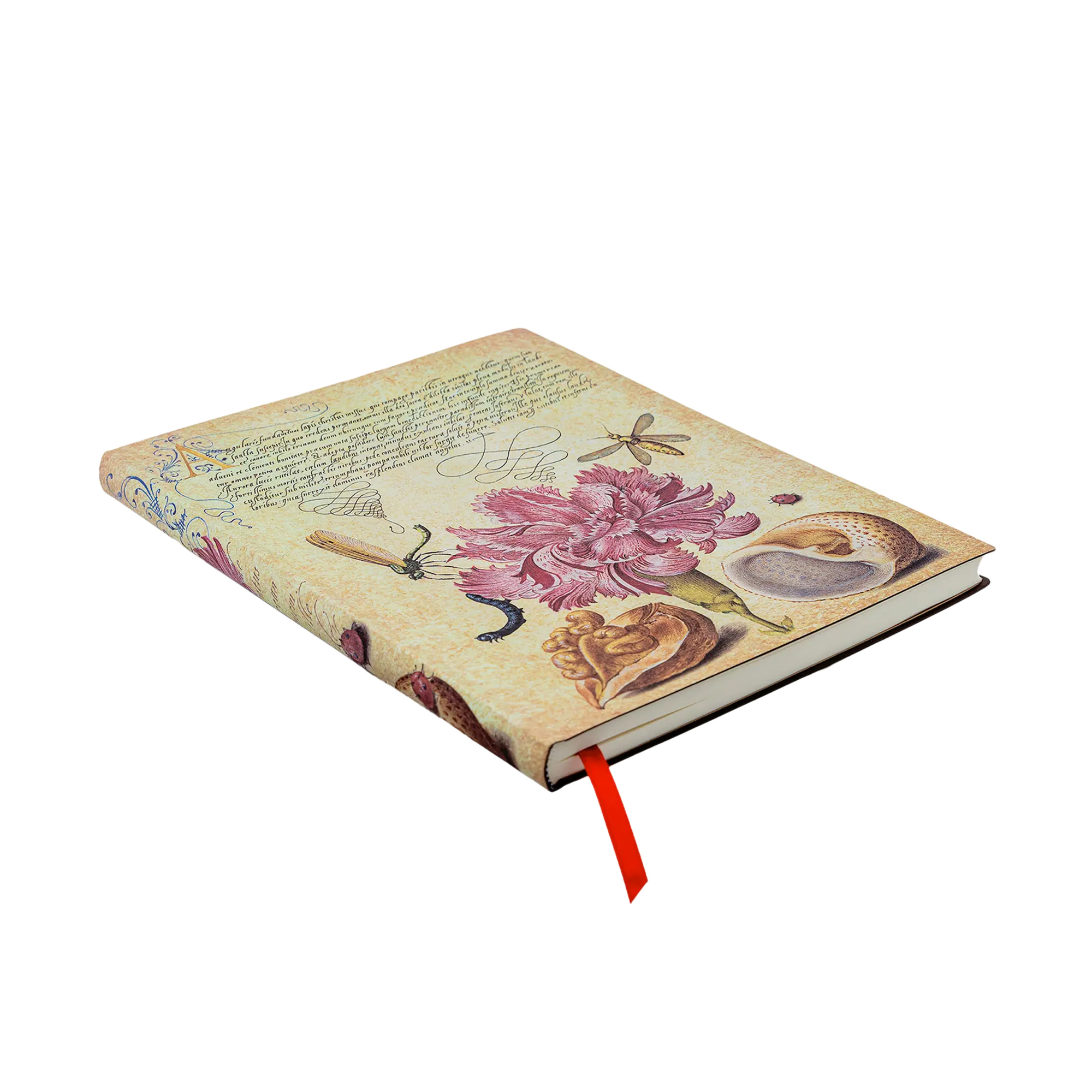 Clavel Rosa - Cuadernos - Angle Image