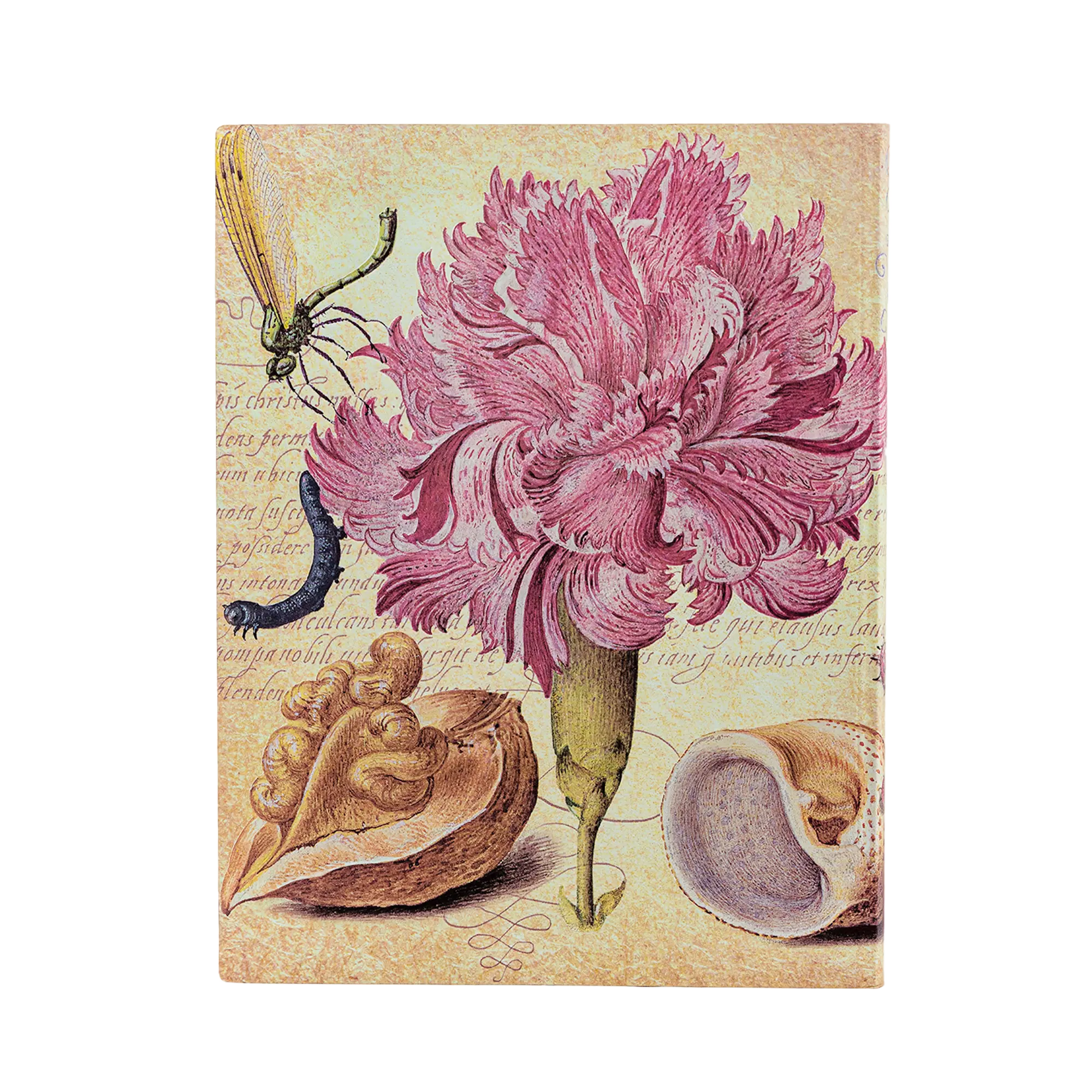 Clavel Rosa - Cuadernos - Back Image