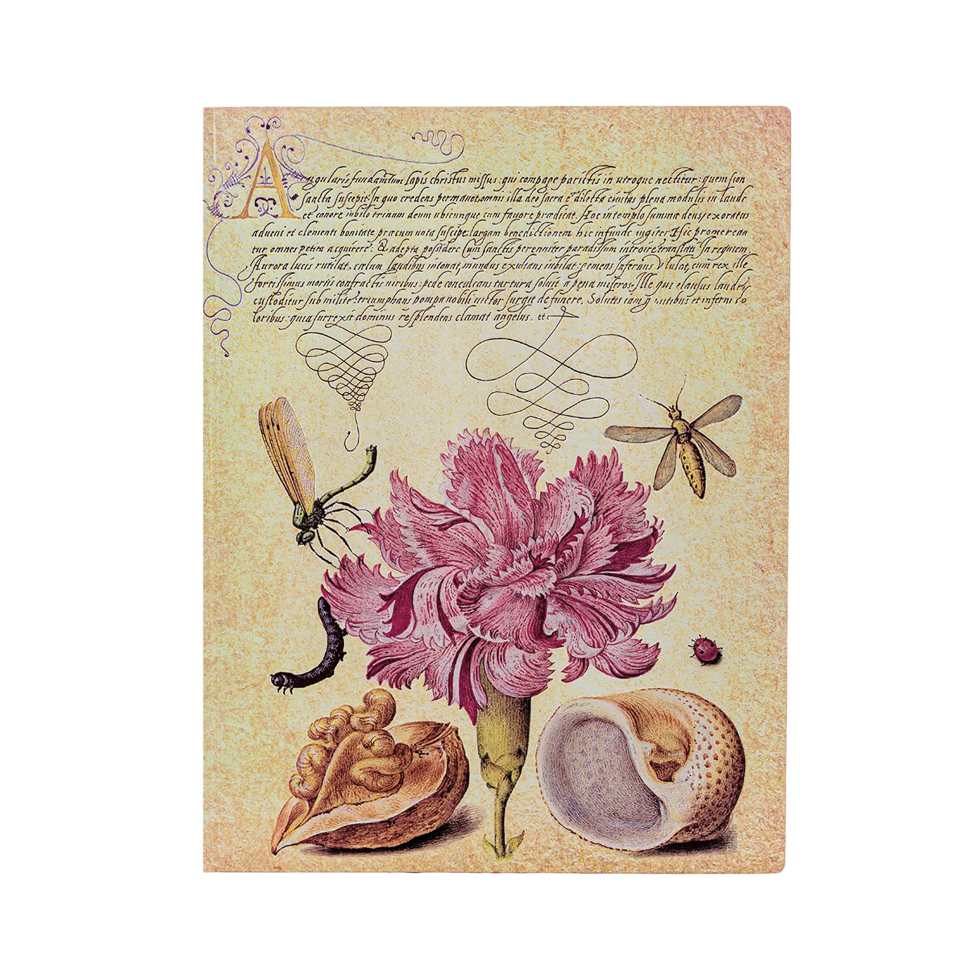 Clavel Rosa - Cuadernos - Front Image