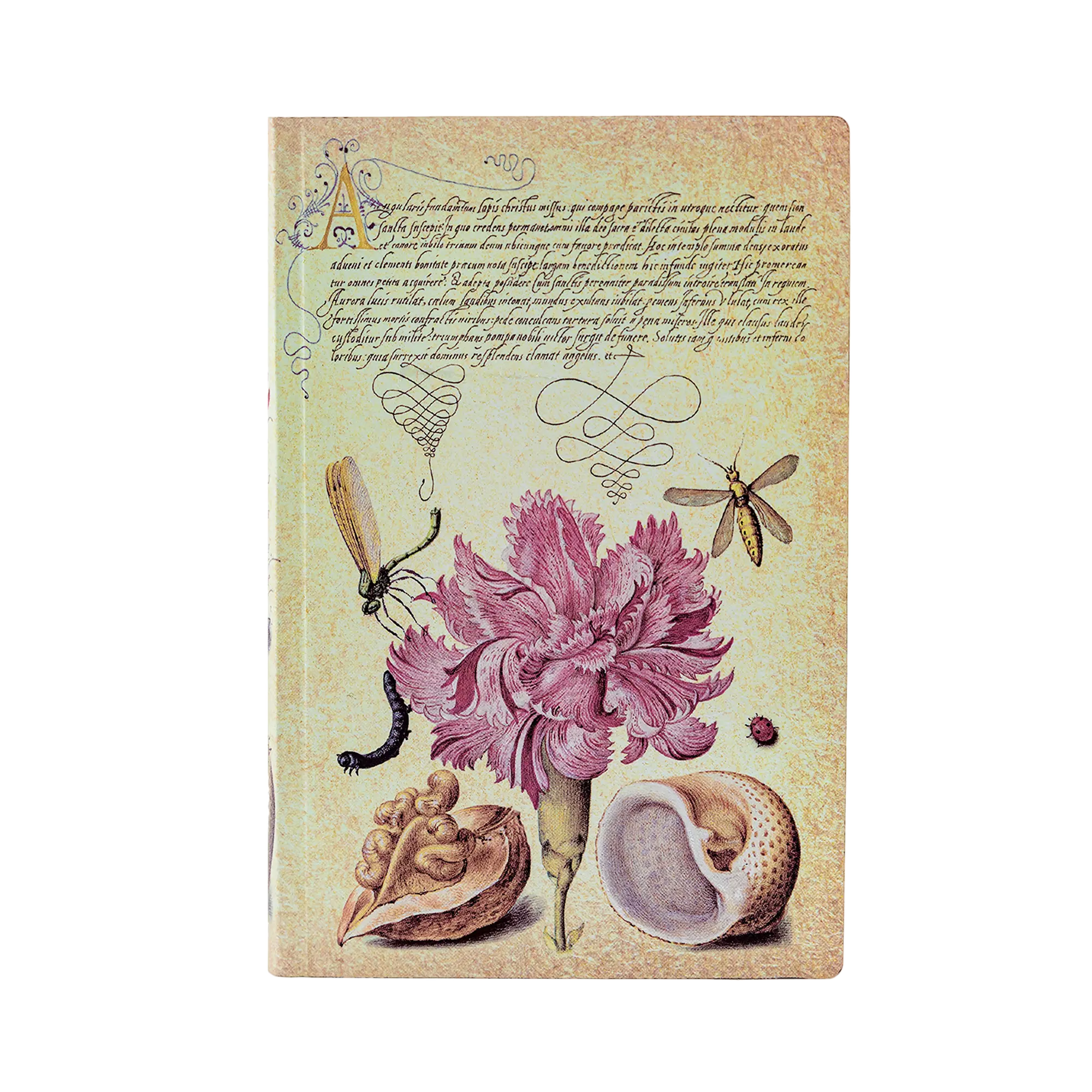 Garofano Rosa - Diari - Front Image