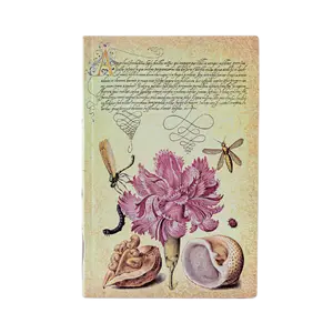 Pink Carnation