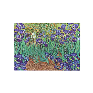 Van Gogh’s Irises