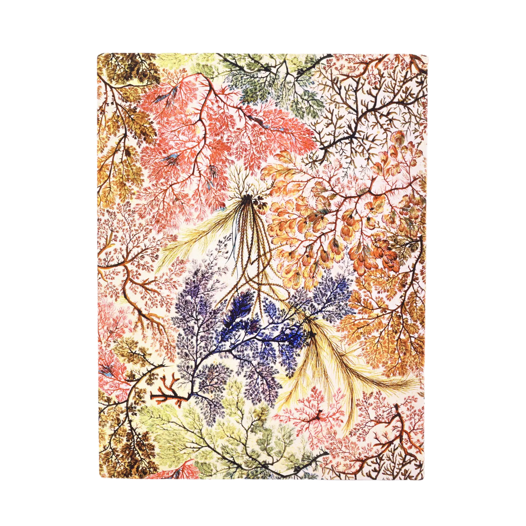 Anémonas - Cuadernos - Back Image