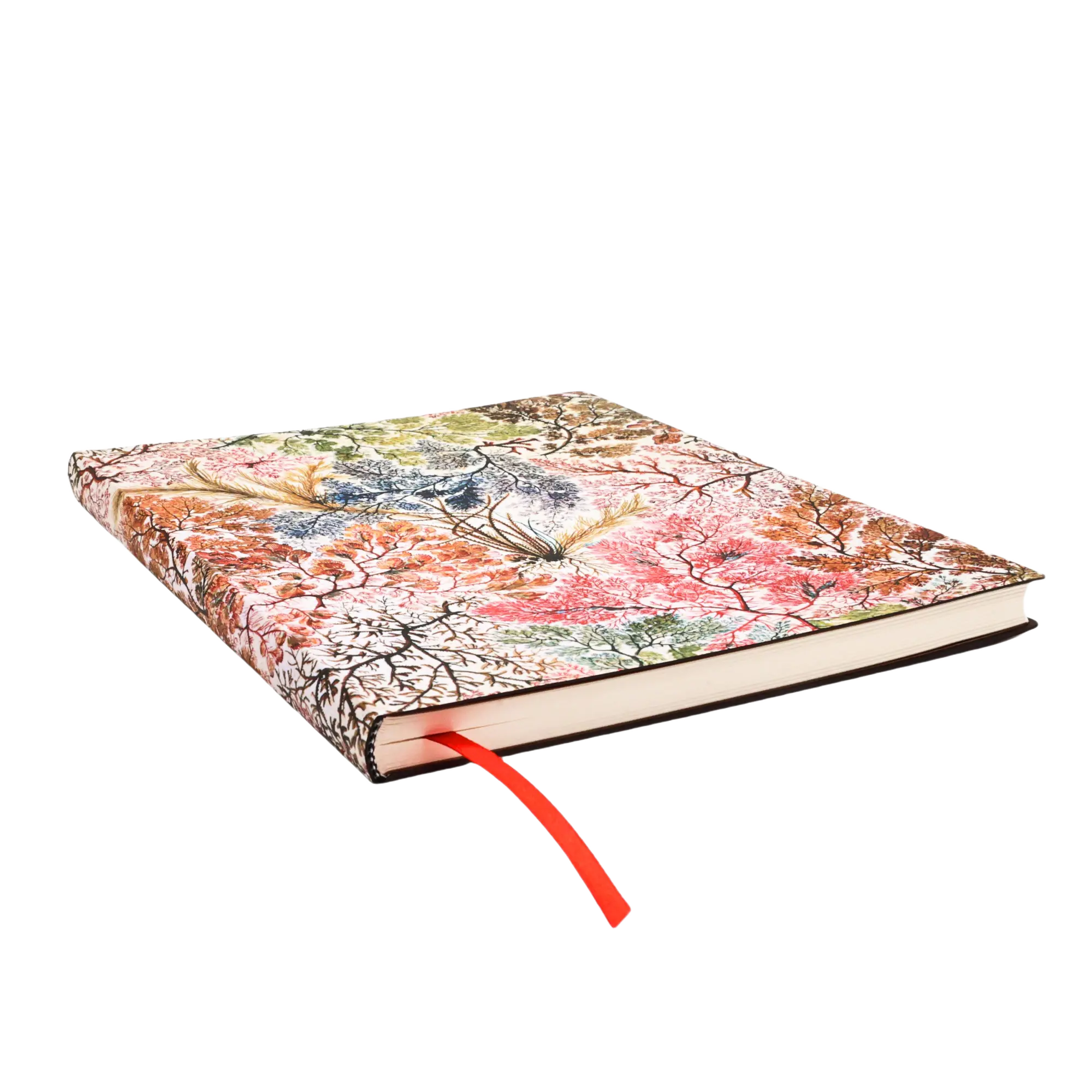 Anémonas - Cuadernos - Edge Image
