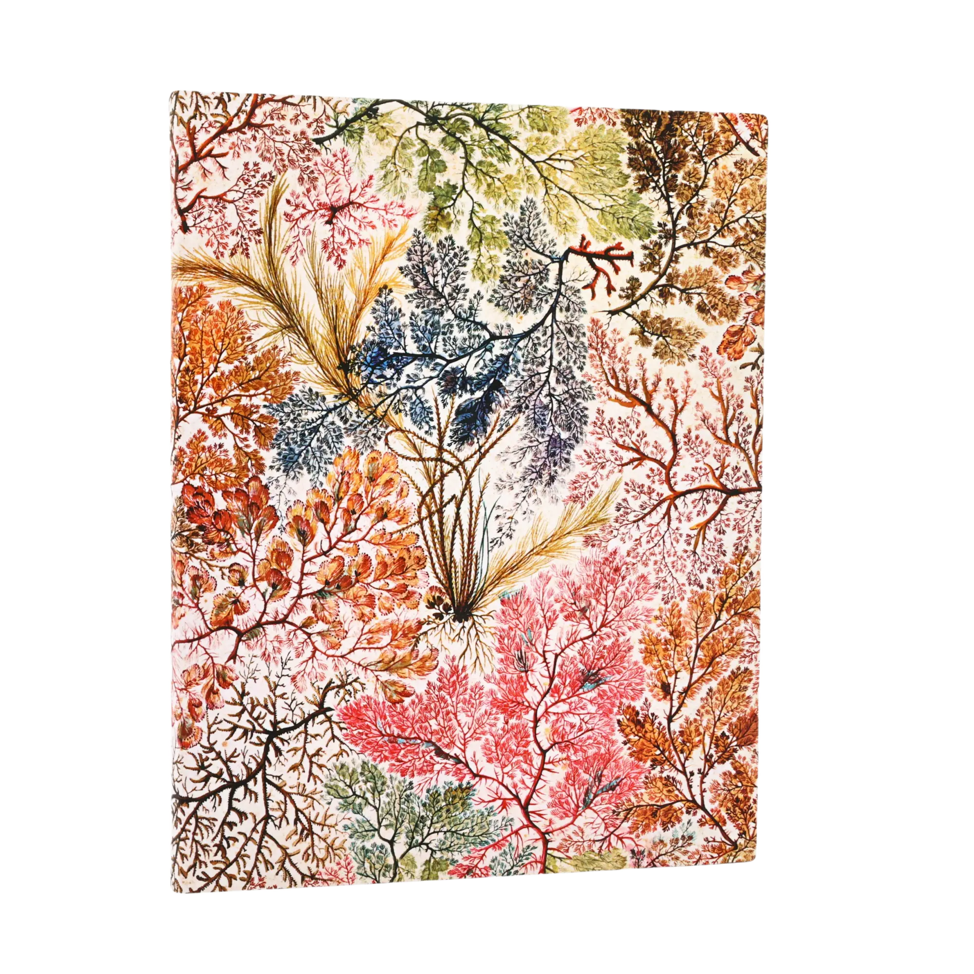Anémonas - Cuadernos - Front Image