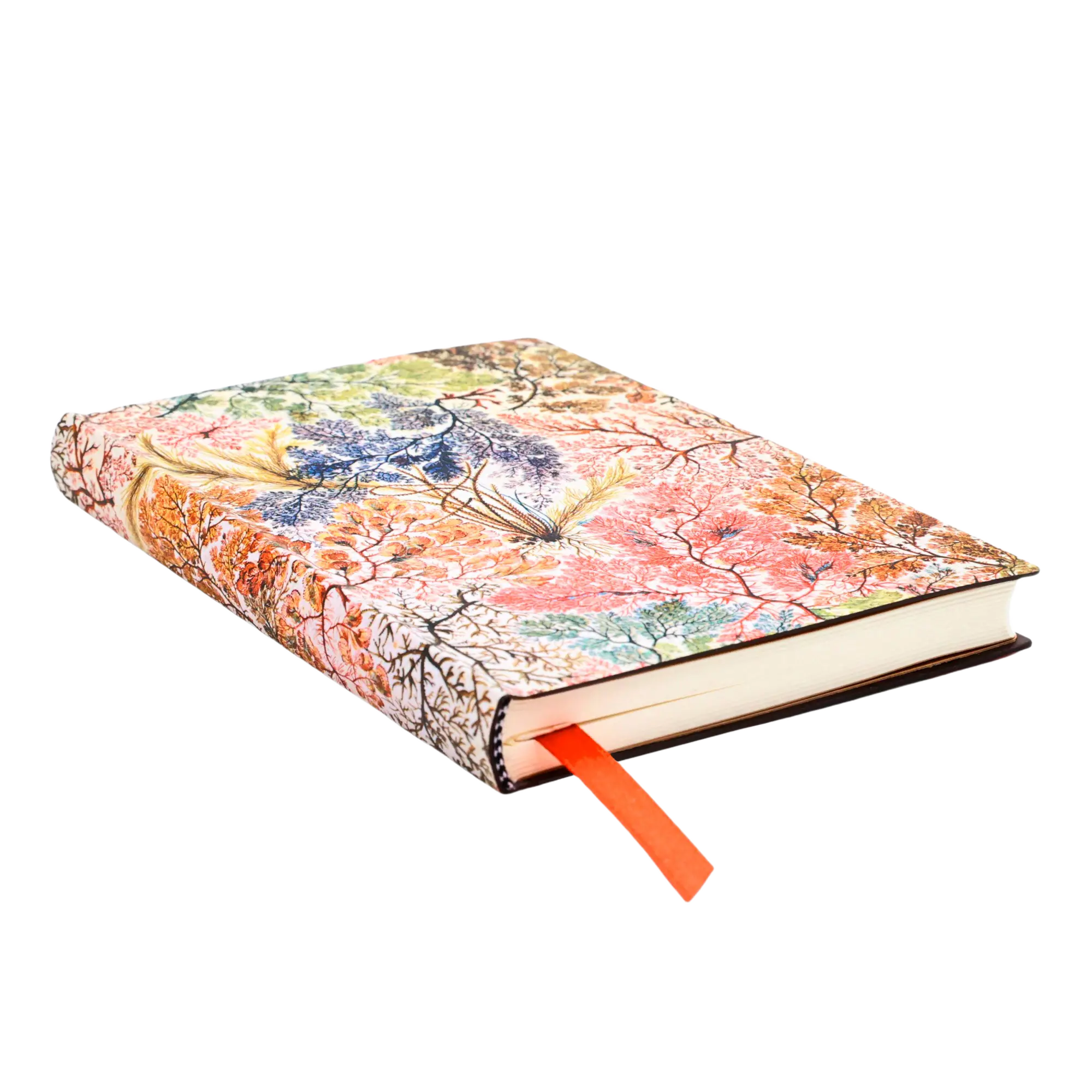 Anémone - Carnets - Edge Image