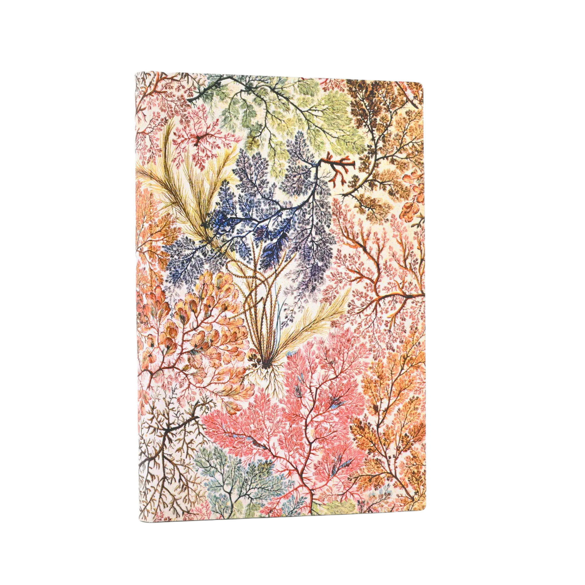 Anémone - Carnets - Front Image