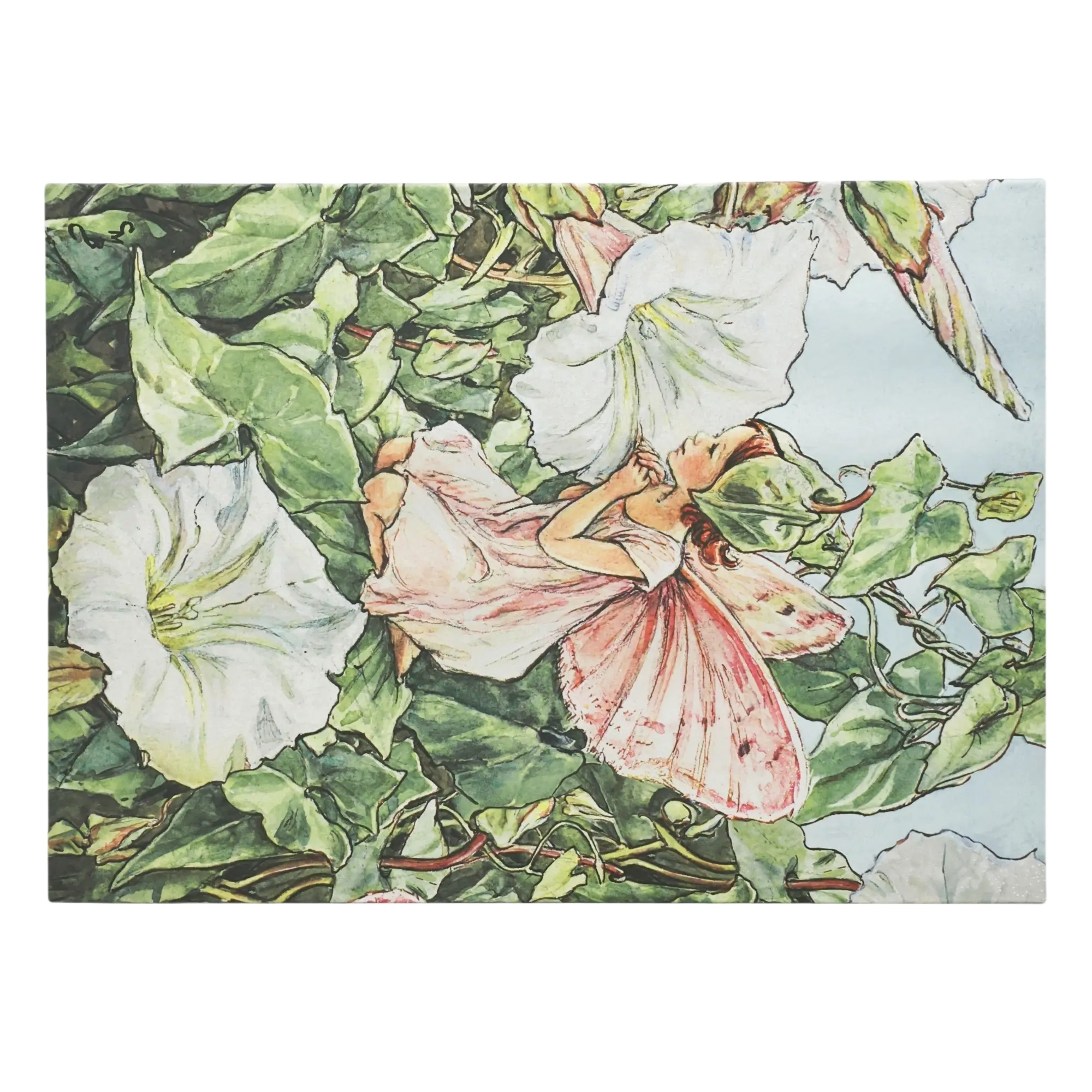 Bindweed Fairy - Document Folders - Back Image