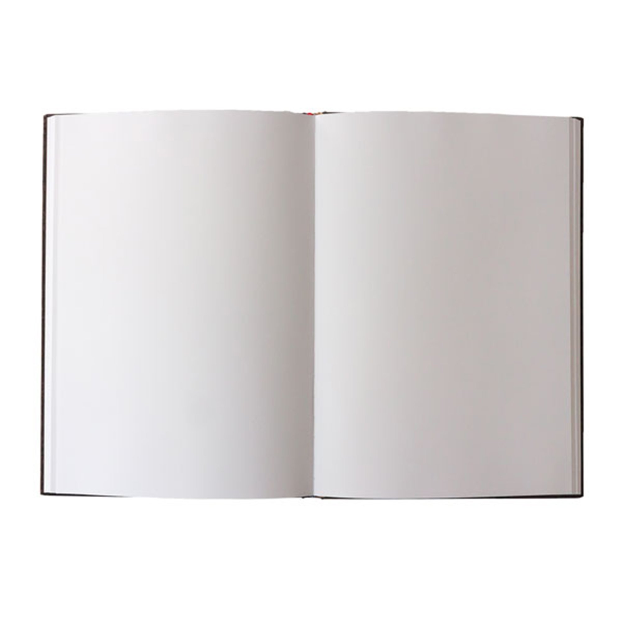 Dharma Dragon - Sketchbooks - InteriorShot Image